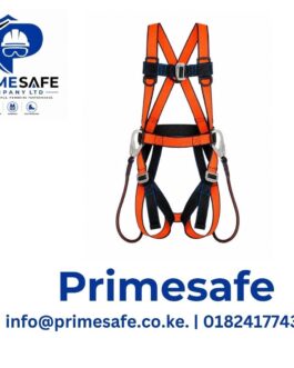 Double hook safety harness
