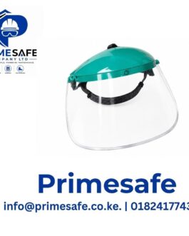 Face shield